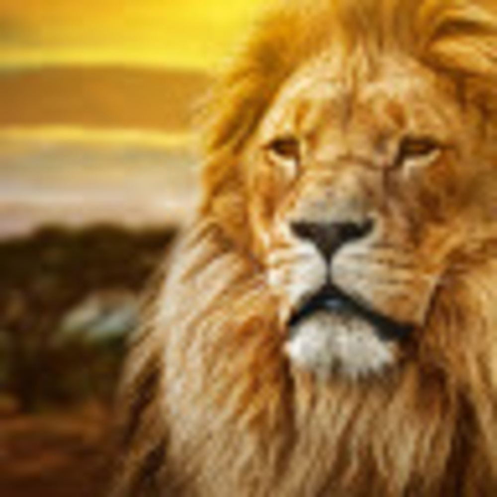 Meet your Posher, Ahbraham